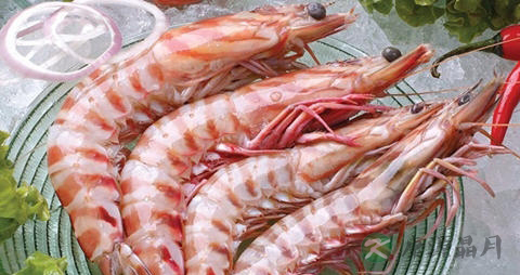 对虾的吃法_哪些人不能吃对虾
