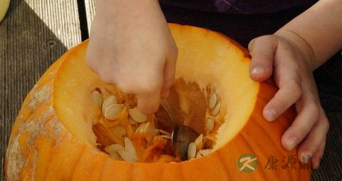 老南瓜和嫩南瓜怎么区分