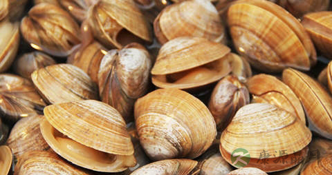 蚬子的营养价值_吃蚬子的好处