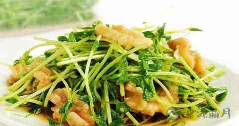 豌豆苗的吃法_哪些人不能吃豌豆苗 豌豆苗的吃法_哪些人不能吃豌豆苗