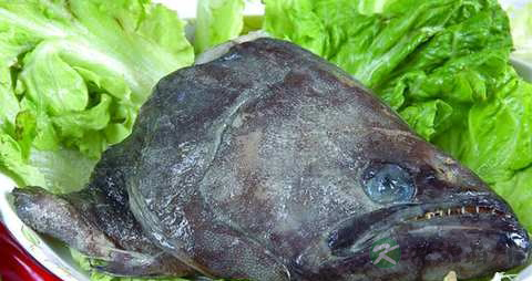 碟鱼头的营养价值_吃碟鱼头的好处