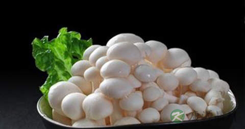 胶玉蘑的营养价值_吃胶玉蘑的好处