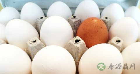 如何辨别鸡蛋的真假 如何辨别鸡蛋的真假