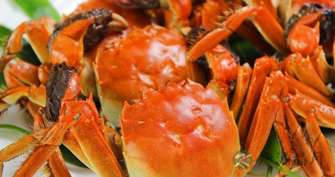 蟹黄的营养价值_吃蟹黄的好处