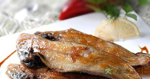 舌头鱼的吃法_哪些人不能吃舌头鱼 舌头鱼的吃法_哪些人不能吃舌头鱼