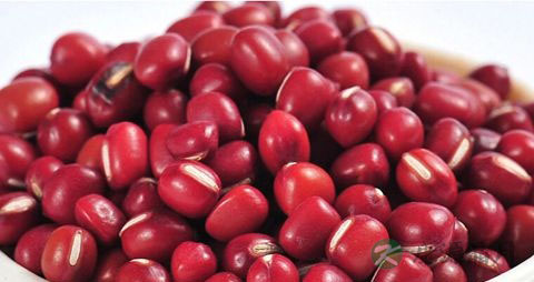 红豆泡水掉色正常吗 红豆泡水掉色正常吗