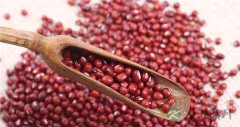 红豆冬瓜皮汤的作用