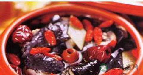 鸡胆的营养价值_吃鸡胆的好处