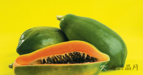 木瓜是什么季节的 木瓜是什么季节的