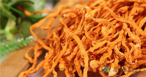 挑选虫草花的诀窍