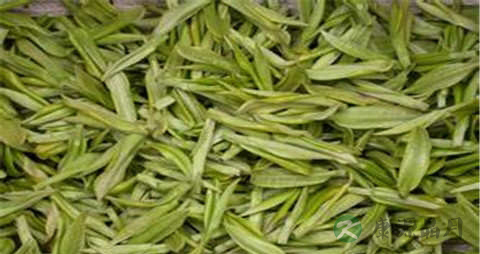 白茶的营养价值_吃白茶的好处