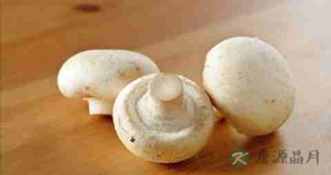 洋菇的营养价值_吃洋菇的好处