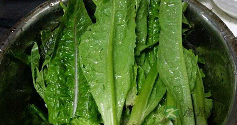 莴笋叶的吃法_哪些人不能吃莴笋叶 莴笋叶的吃法_哪些人不能吃莴笋叶