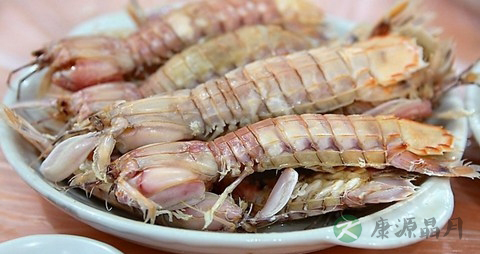 濑尿虾的营养价值_吃濑尿虾的好处