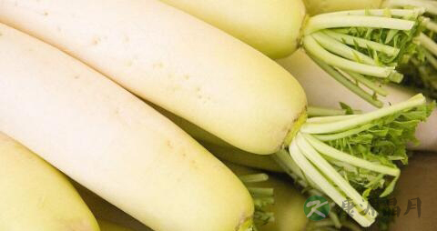 怎么腌制白萝卜咸菜