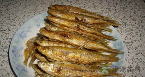 岛子鱼的吃法_哪些人不能吃岛子鱼