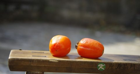 柿子属于寒性食物吗
