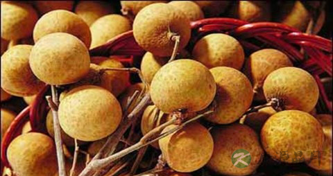 龙眼怎么吃不上火