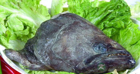 碟鱼头的吃法_哪些人不能吃碟鱼头