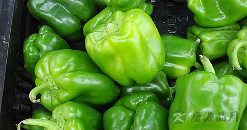 菜椒的吃法_哪些人不能吃菜椒