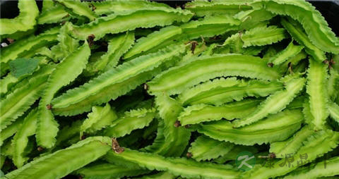 四棱豆的营养价值_吃四棱豆的好处