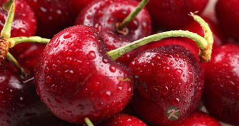 车厘子吃多了会怎样