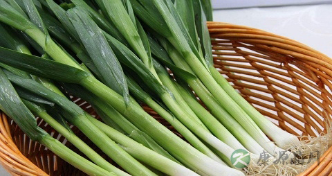 青蒜的吃法_哪些人不能吃青蒜 青蒜的吃法_哪些人不能吃青蒜