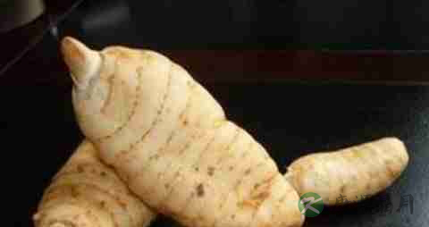 天麻的吃法_哪些人不能吃天麻