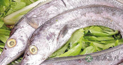 带鱼怎么做不粘锅 带鱼怎么做不粘锅