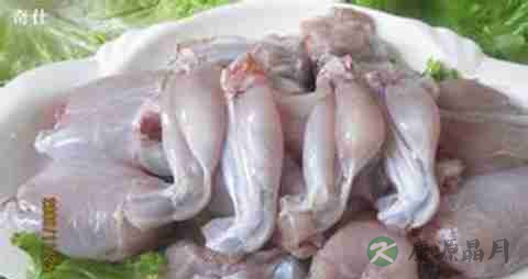 牛蛙的营养价值_吃牛蛙的好处