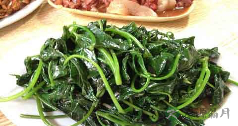 番薯叶的吃法_哪些人不能吃番薯叶