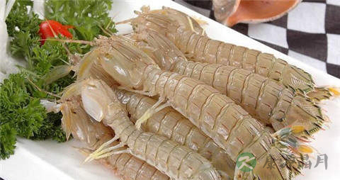 虾婆婆的吃法_哪些人不能吃虾婆婆