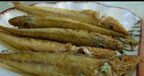 梭子鱼的营养价值_吃梭子鱼的好处