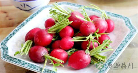 小水萝卜的吃法_哪些人不能吃小水萝卜 小水萝卜的吃法_哪些人不能吃小水萝卜