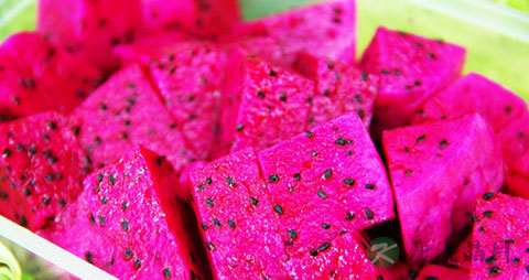 红心火龙果的吃法_哪些人不能吃红心火龙果