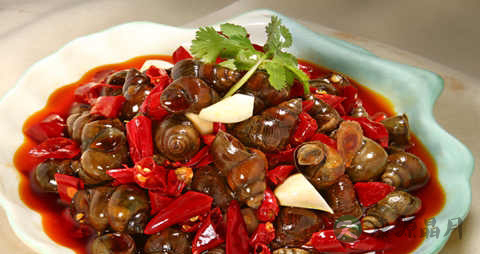 香螺的吃法_哪些人不能吃香螺