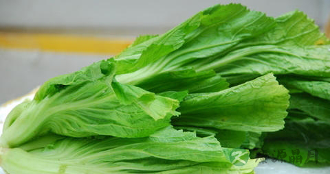 鸡肉与荠菜能一起吃吗