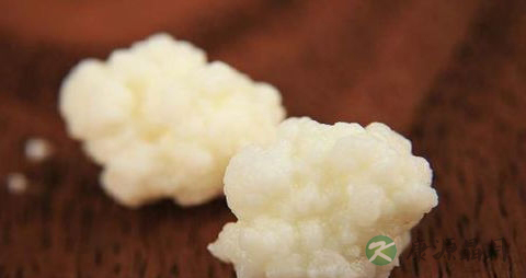 藏灵菇的吃法_哪些人不能吃藏灵菇