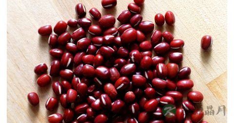 薏米煮粥时要不要泡