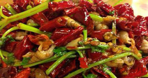 海螺丝的吃法_哪些人不能吃海螺丝 海螺丝的吃法_哪些人不能吃海螺丝