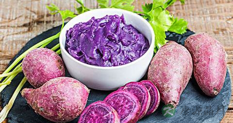 紫薯是转基因食品吗