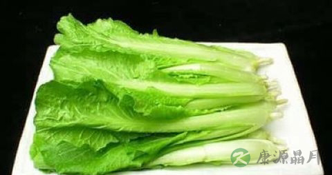 绿叶菜都含草酸吗 绿叶菜都含草酸吗