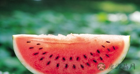 喝啤酒能吃西瓜吗 喝啤酒能吃西瓜吗