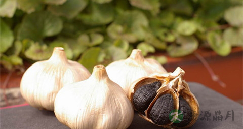 黑蒜怎么形成的