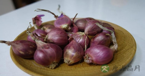 红葱头和毛葱的区别 红葱头和毛葱的区别