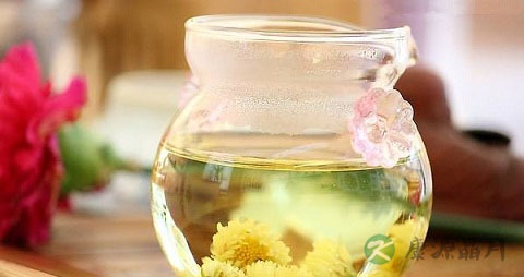 野菊花茶的吃法_哪些人不能吃野菊花茶 野菊花茶的吃法_哪些人不能吃野菊花茶