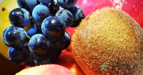 猕猴桃怎么挑 猕猴桃怎么挑