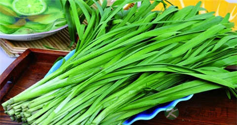 韭菜花的营养价值_吃韭菜花的好处