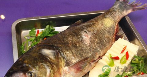 大头鱼的吃法_哪些人不能吃大头鱼