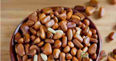 松仁的营养价值_吃松仁的好处